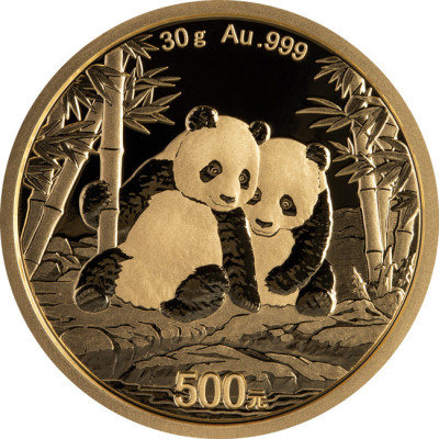 Panda (2026) - 30 g - gouden beleggingsmunt