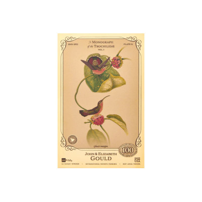 De John en Elizabeth Gould - Collectie 'Gold Bill' van kolibries
