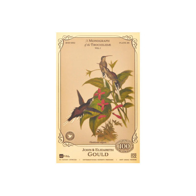 De John en Elizabeth Gould - Collectie 'Gold Bill' van kolibries